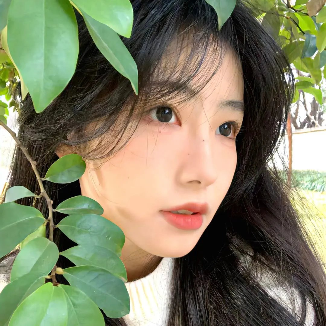 母女争风